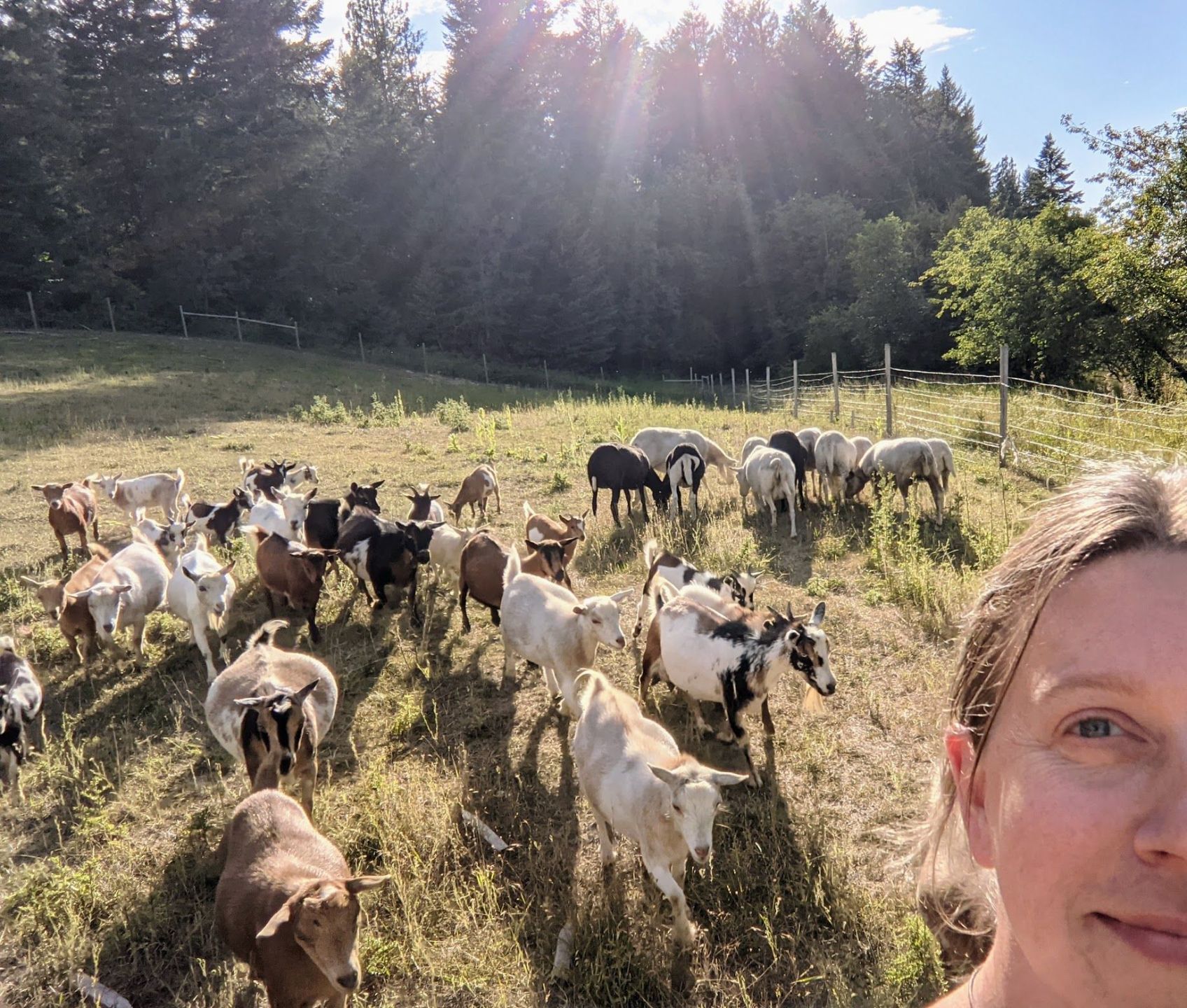 Megan with her goats